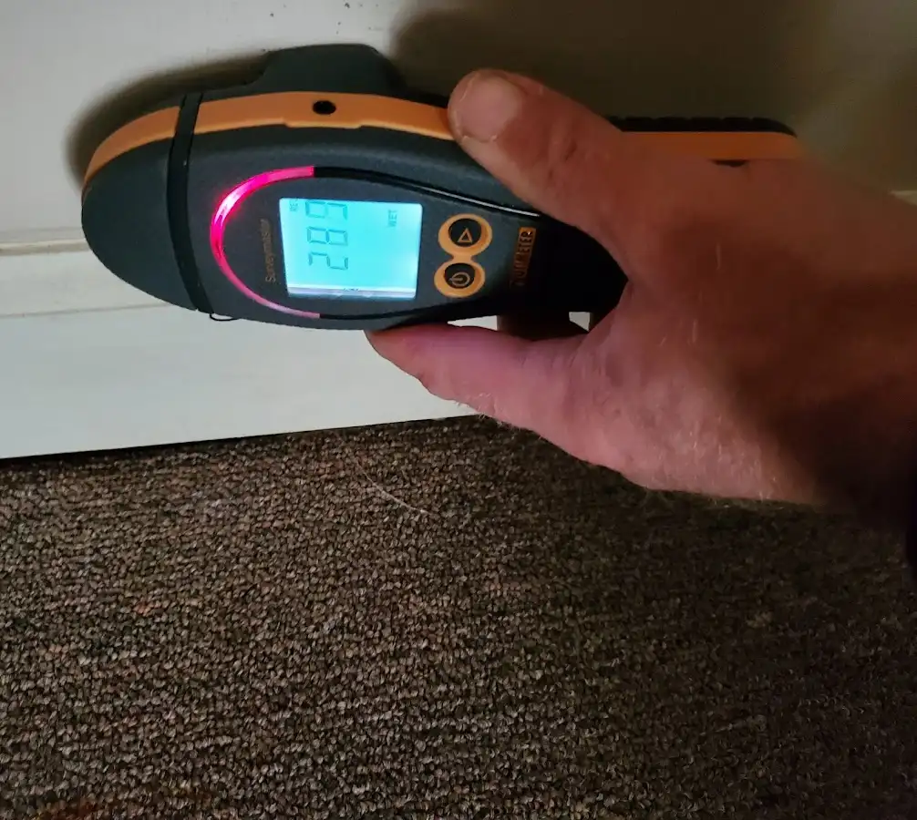 Moisture detection at baseboard during Burst Pipe Cleanup in Delano